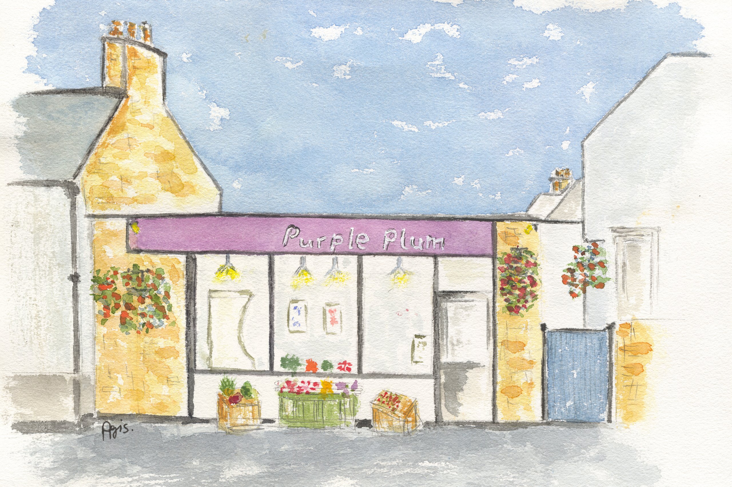 Lauder Purple Plum on Lauder West High Street